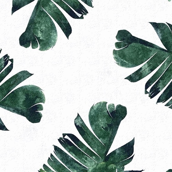 Meet your Posher, Shelby - Picture 2 of 8